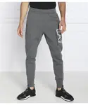 Спортивные штаны Regular fit Ea7, серый - фото