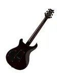 PRS Guitars SE DGT McCarty Tobacco Sunburst - Птицы - фото 4