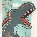 Детский пижамный комплект для мальчика, 4 предмета Carter'S, Dino - фото 2