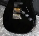 2024 PRS - Фиоре - Черный Ирис - фото 2