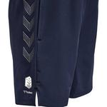 Шорты Hummel Move Grid Woven, синий - фото 3