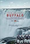 Диск DVD Four Falls Of Buffalo - фото
