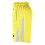 Шорты x nba icon edition swingman шорты Nike, желтый - фото 3