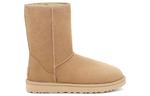 Угги (WMNS) UGG Classic Short II 'Mustard Seed' - фото 2