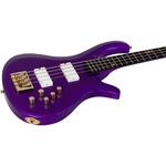 Schecter Guitar Research FreeZesicle-4 Электрический бас-гитара Freeze Purple - фото 4