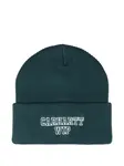Шапка-бини с вышитым логотипом Carhartt Wip, зеленый - фото
