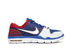 Кроссовки Nike Trainer 1 Low 'Manny Pacquiao', синий - фото 2