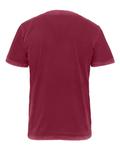 Футболка Soft Wash Next Level, цвет washed cardinal - фото 2
