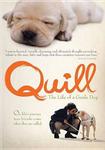 Диск DVD Quill: The Life Of A Guide Dog - фото