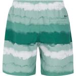 Шорты для плавания prthamsey Protest, зеленый - фото 2