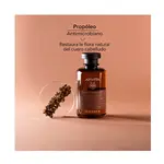 Шампунь для волос Oily Dandruff Champú Anticaspa Grasa Apivita, 250 ml - фото 7