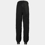 Мужские горнолыжные брюки Helly Hansen ALPINE INSULATED - фото 2