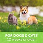 TropiClean Дезодорирующий спрей с плодами красного кокоса 236мл - фото 6