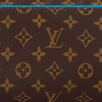 LOUIS VUITTON Клатч - фото 5