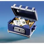 Детский конструктор Playmobil Transport Robbery, золотой - фото 8