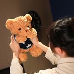 Свитер в британском стиле с плюшевым мишкой 25см/35см/45см XINGBA - фото 11