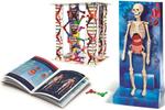 Clementoni, обучающий набор «Тело человека» - фото 3
