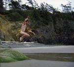 CD диск Nelson, Zac: Wicked Work It Out - фото