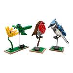 Набор для сборки Ideas Birds LEGO - фото 6