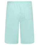 Шорты Guess Regular Fit, бирюзовый - фото 2