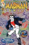 Madman Comics #12 (Dark Horse Comic) - фото