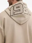 Худи 1981 с логотипом GUESS USA, нейтральный - фото 4