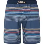 Шорты для плавания Protest Banks, синий - фото