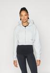 Толстовка ICANIWILL ESSENCE CROPPED HOODIE , Light Grey Melange/Mottled Light Grey - фото