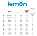 LEMON EXPLORE Плавки для мальчиков WL5 синие - фото 5