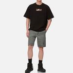 Джинсовые шорты мужские серые Evisu, серый - фото 4