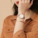 DW/DanielWellington Часы Daniel Wellington Classic Petite Bondi 28mm - фото 9