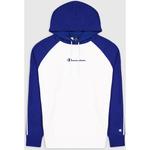 Толстовка с капюшоном Champion, мультиколор - фото