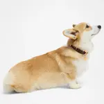 Ошейники для собак и кошек LOUIS VUITTON - фото 2