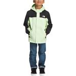 Ветровка Зеленая Черная Детская THE NORTH FACE - фото