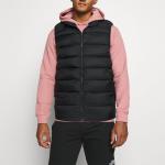 Arcteryx Мужские жилеты, цвет Black - фото 4