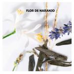 Туалетная вода Yves Saint laurent Libre - фото 4