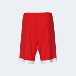 ERREA Шорты Эрреа Ларри - фото 2