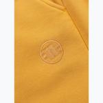 Мужские шорты Pitbull Lancaster 2 - фото 4