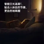 Lightcycle Morph CD06 2700K-6500K Dyson, prussia синий - фото 5