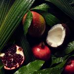 Кондиционер Light Nutriplenish Feuchtigkeitsspendender Aveda - фото 2