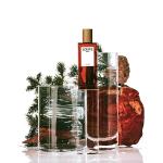 Только Кедр 100 мл Loewe - фото 4