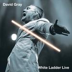 Виниловая пластинка LP White Ladder Live - David Gray - фото