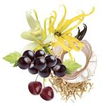 Trussardi, Ruby Red, парфюмированная вода, 90 мл - фото 7