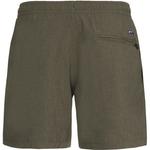 Плавки Davey beachshort Protest, зеленый - фото 2