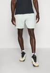 Спортивные шорты Jordan MESH SHORT, Light Silver/Light Grey - фото