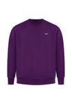Толстовка Smilodox BASIC CREWNECK RIVEN, Lila/Purple - фото 6