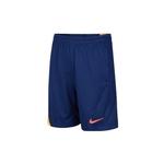 Мужские шорты AS M NK DF STRK Casual Nike, синий - фото