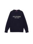 Свитер hilfiger maglioncino bambino/ragazzo Tommy, синий - фото