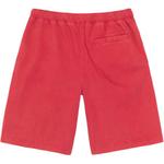 Шорты Stüssy Double Layer Stussy, серый - фото 5