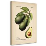 Картина арт-принт KUNSTLOFT Avocado, бежевый - фото